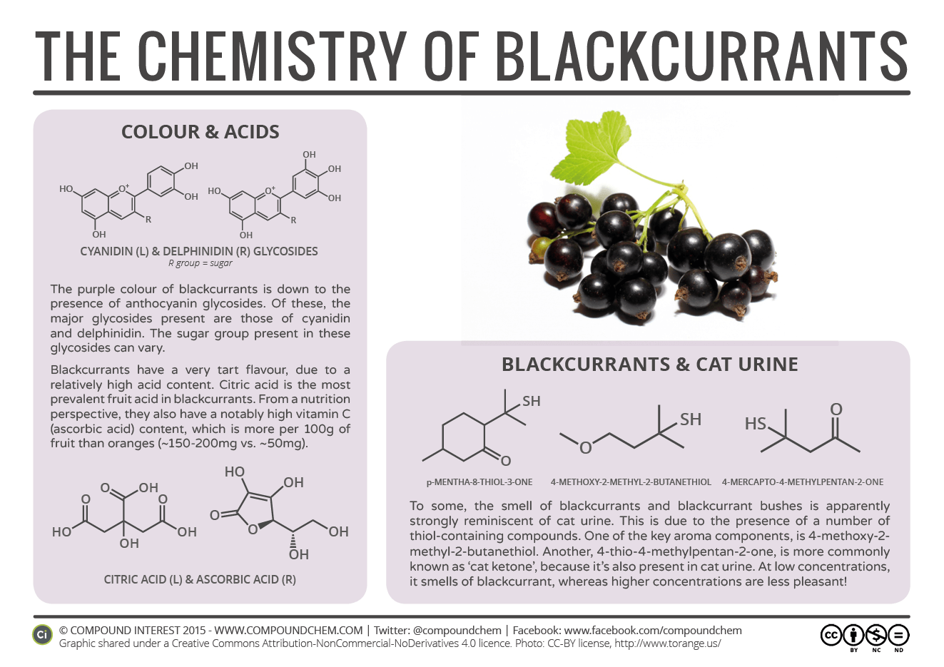 Food-Chemistry-%E2%80%93-The-Chemistry-of-Blackcurrants.png