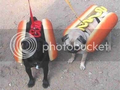 hotdog.jpg