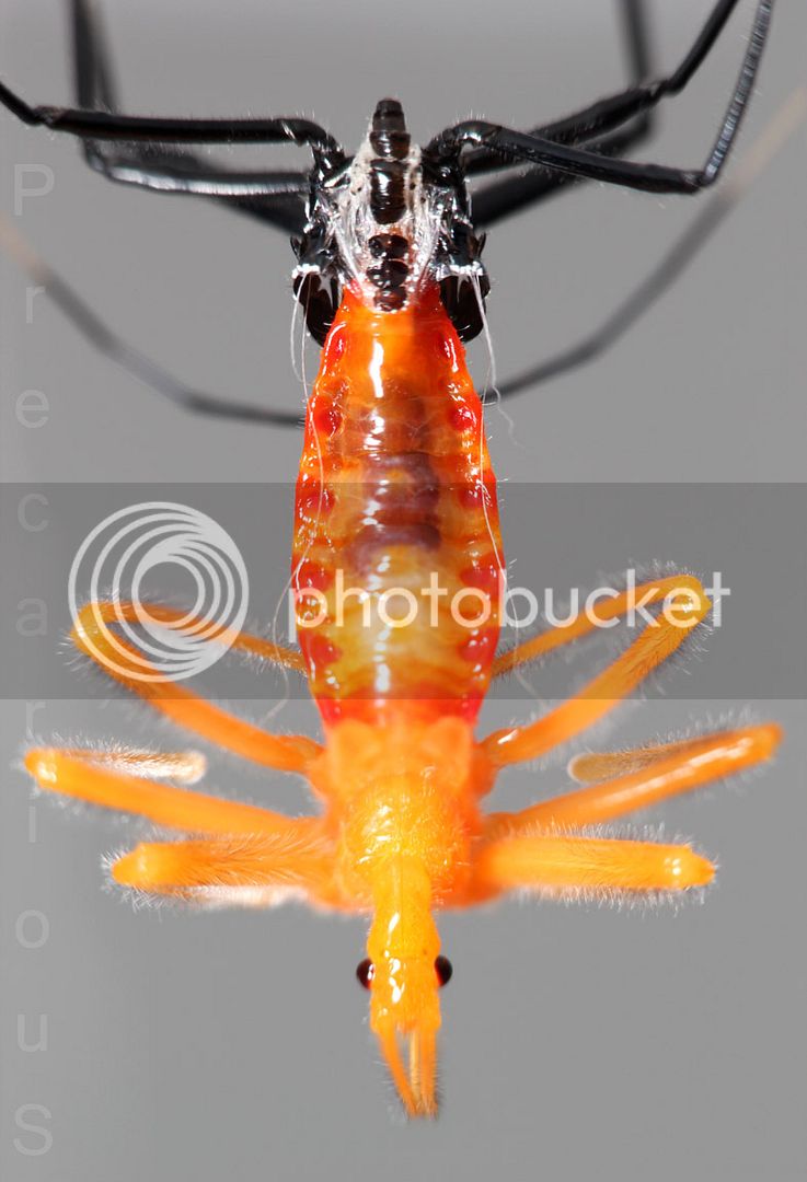 WheelMolt07_9946-sm.jpg