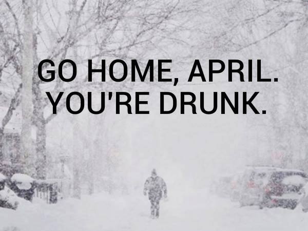 go-home-april-youre-drunk-1460000583.jpg