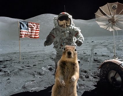squirrel-fake-moon-landing-proof.jpg
