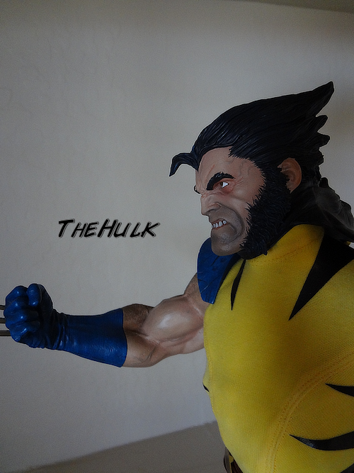 WolverinePF-1.png