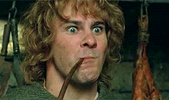 lotr-lord-of-the-rings-30735281-245-145.gif