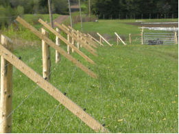 Slanted Electric Fence