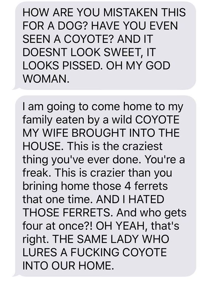 Husband-Freaks-Out-After-His-Wife-Texts-Him-She-Brought-A-Dog-Home-While-The-Pic-Shows-Its-Coyote-5842a5e024ffe__700.jpg