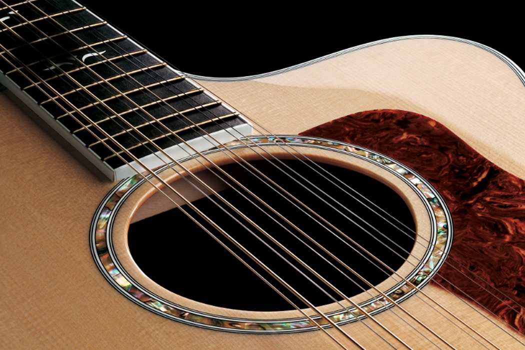 12string-header.jpg