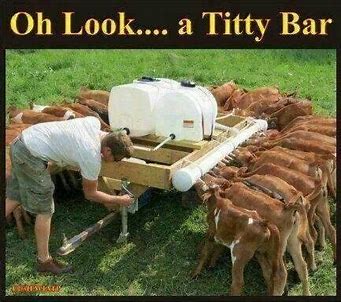 Image result for the funny farm where life is grand funny 