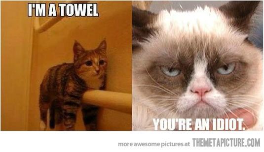 funny-Grumpy-cat-towel-meme_zps3897fa42.jpg