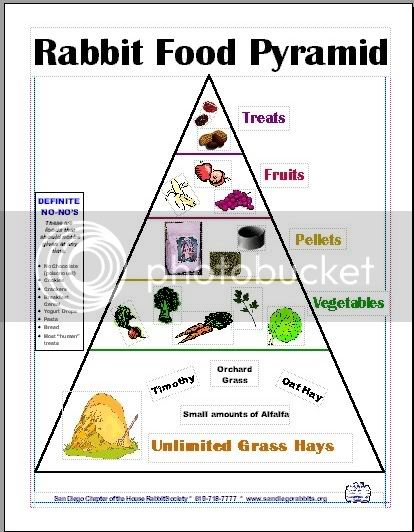 Food_pyramid.jpg