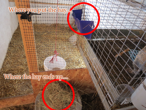 Diy hay hotsell feeder rabbit