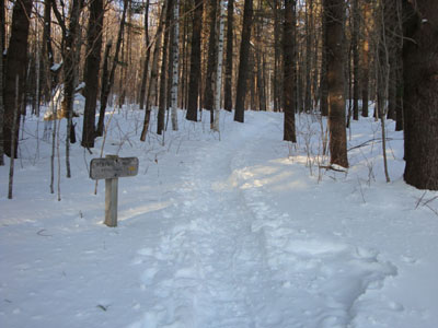 mtisraeltrailhead-2009-0122a.jpg