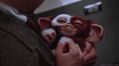 Cute-Gremlin-Loves-Being-Adored-Reaction-Gif.gif