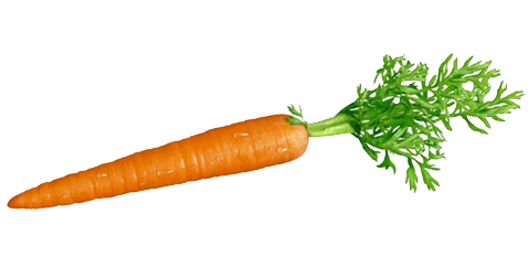 carrot-hd-png-pin-carrot-clipart-transparent-background-12-478.png