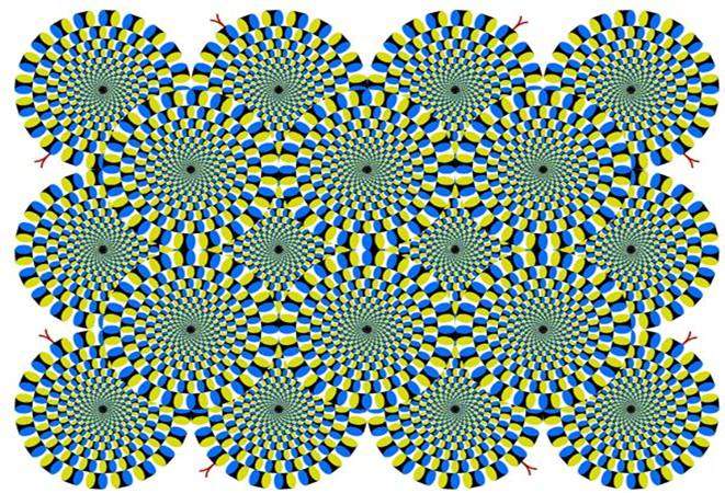 optical_illusion.jpg