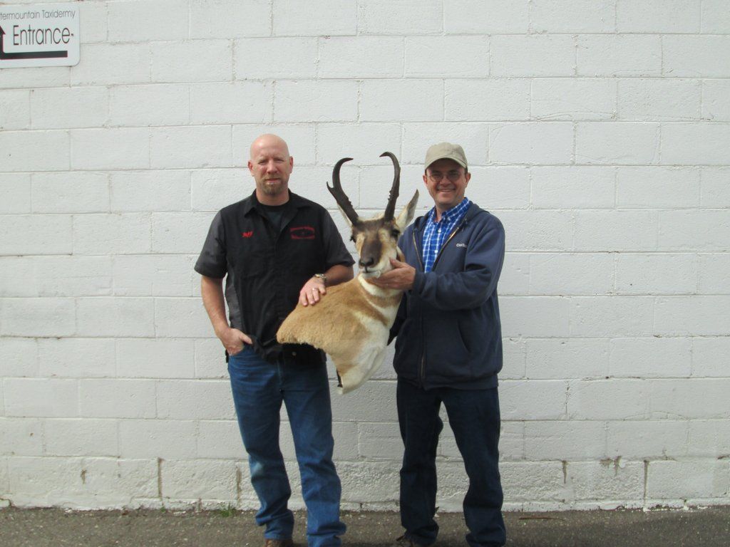 2015%20antelope%20mount%2003_zpsgcpivnyw.jpg