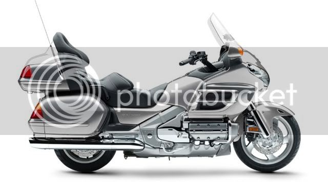 Goldwing_large_03.jpg