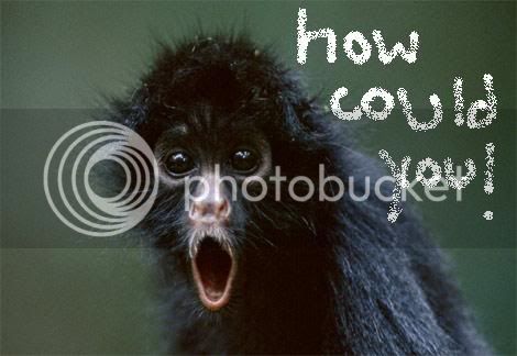 black-spider-monkey.jpg