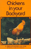 chickensbackyard.jpg