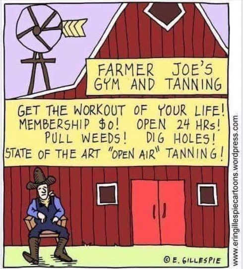 farmer-joes-gym-and-tanning-get-workout-of-your-life-open-24-hours-state-of-the-art-open-air-tanning.jpg