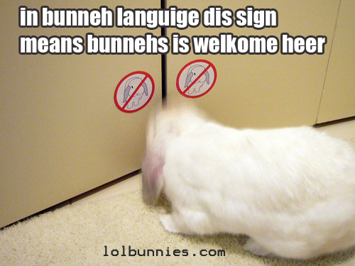 bunnieswelcome.jpg