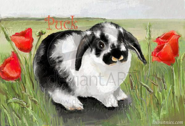Puck_and_Poppies_by_lolbunnies.jpg