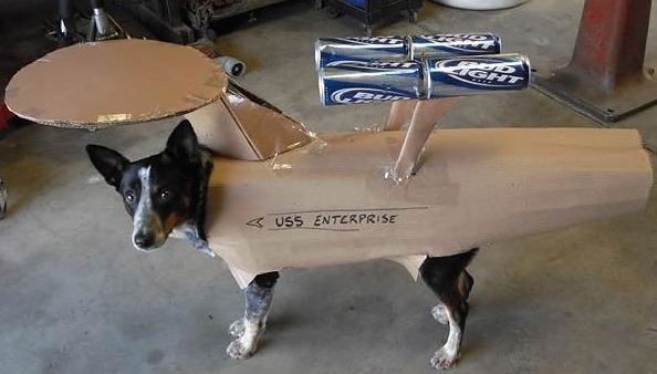 capture-dog-enterprise.jpg
