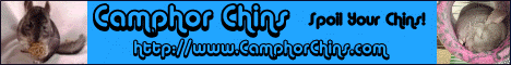 camphorchinsbanner.gif