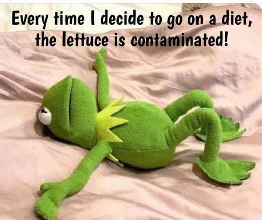 every-time-i-try-to-go-on-diet-lettuce-is-contaminated.jpg