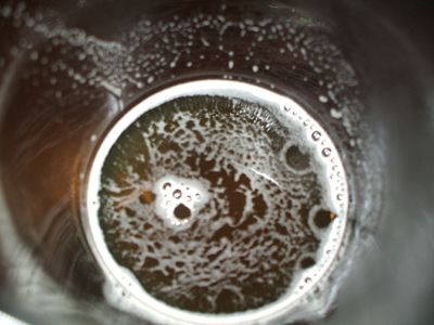 beer2.jpg