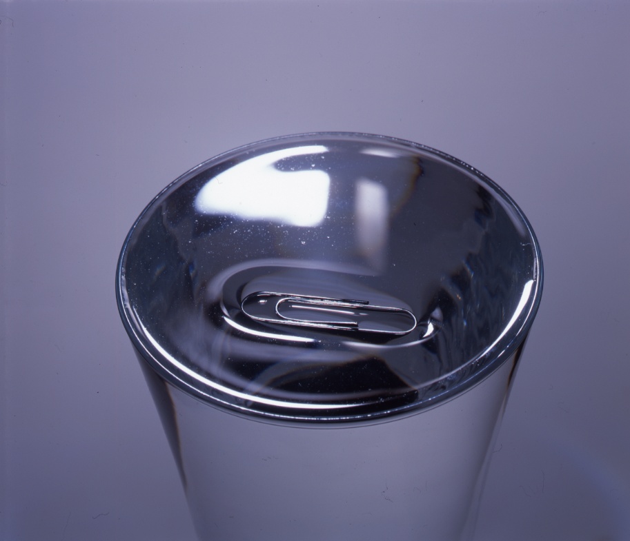 meniscus-on-water-surface-tension-supporting-steel-paperclip-in-drinking-glass-tumbler-beaker-1-AJHD.jpg