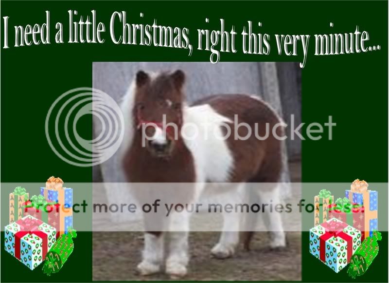 xmashorse6.jpg