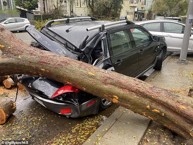 San Francisco was hit with its first ever tornado warning after a devastating storm tore through northern California , flipping cars and downing power lines