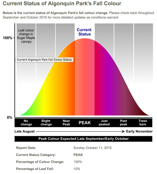 Algonquin%20leaves%202015-L.png