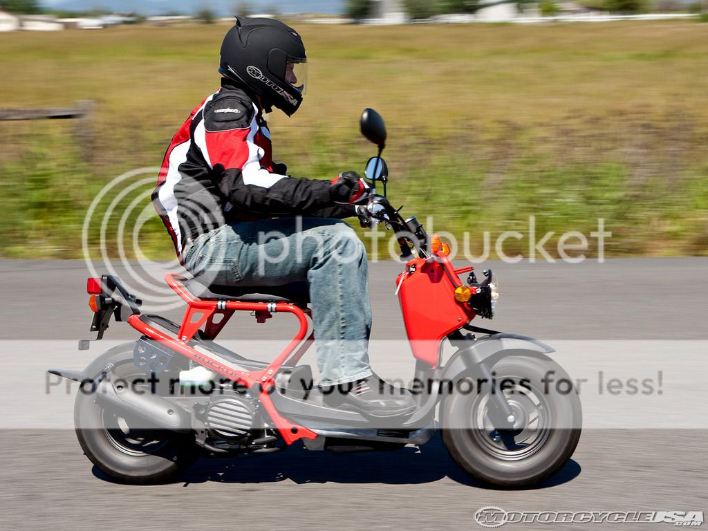 2009-honda-ruckus-scooter_zpsiijrkvki.jpg