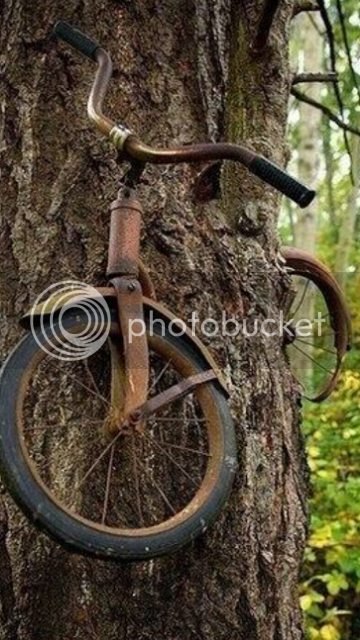 TreeBike_zps1e13c766.png