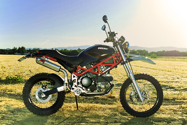 ducati_terra_mostro.jpg