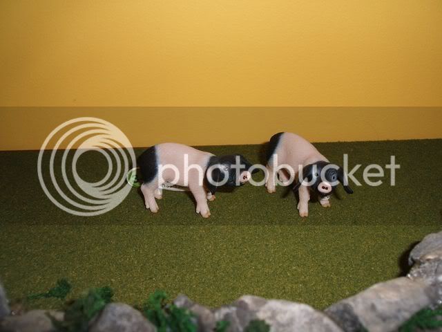 swabianhallpiggies640x480.jpg