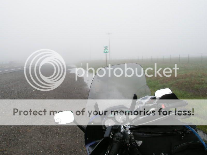 fjr99fog.jpg