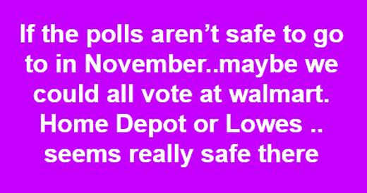 if-polls-arent-safe-in-november-maybe-we-can-vote-walmart-lowes-home-depot.jpg