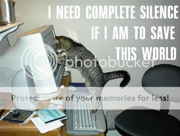 funny_cat_pictures_pc_3.jpg