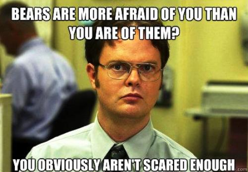 dwight-schrute-facts-scared-bears.jpg