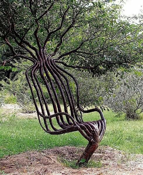 a970bf75ed430a39cbc2c8b72d645f06--peter-cook-tree-chair.jpg