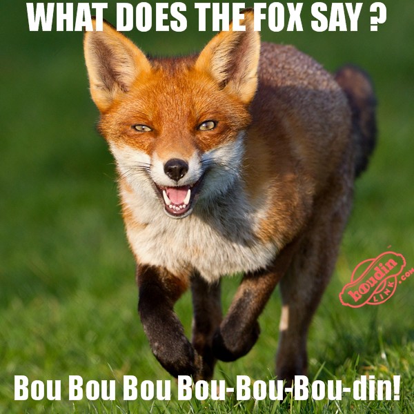 What-doe-the-fox-say1.jpg