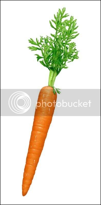 carrot.jpg