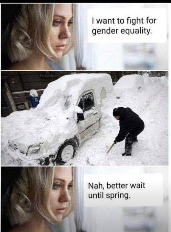 Gender-Equality.jpg