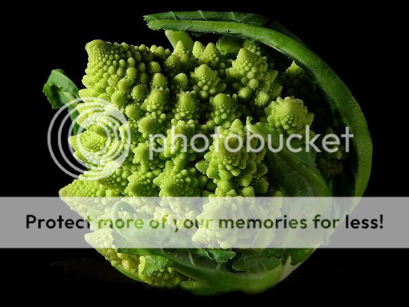 800px-Fractal_Broccoli.jpg