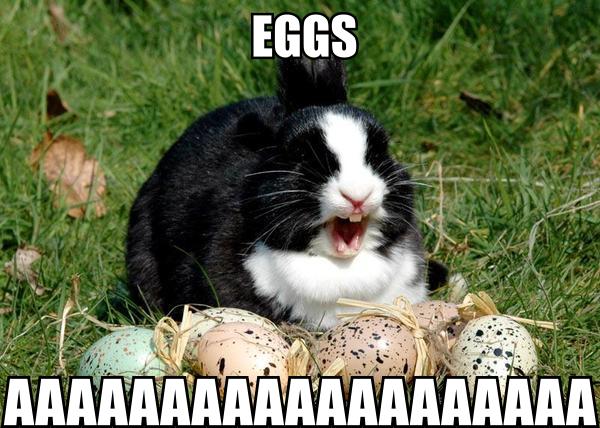 rabbit+and+eggs.jpg