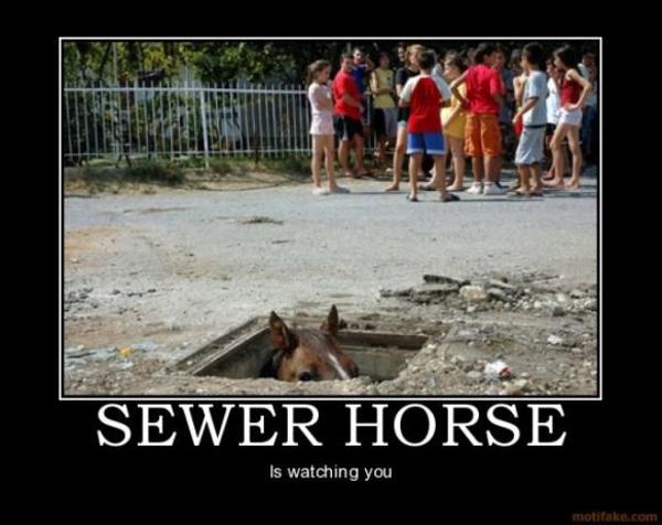 sewer-horse.jpg