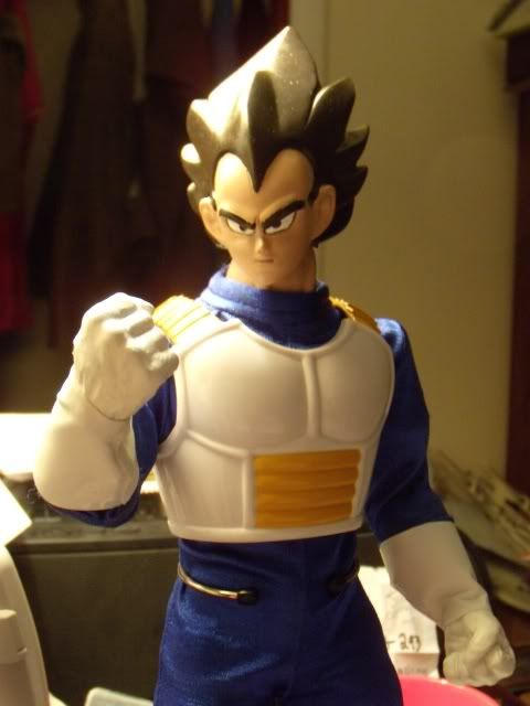 Vegeta18resized.jpg