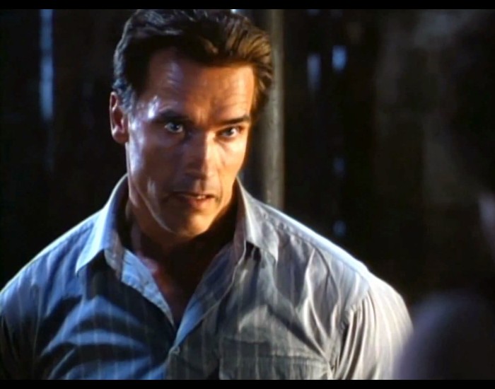 arnold-schwarzenegger-as-harry-tasker-in-true-lies-40624035-700-550.jpg